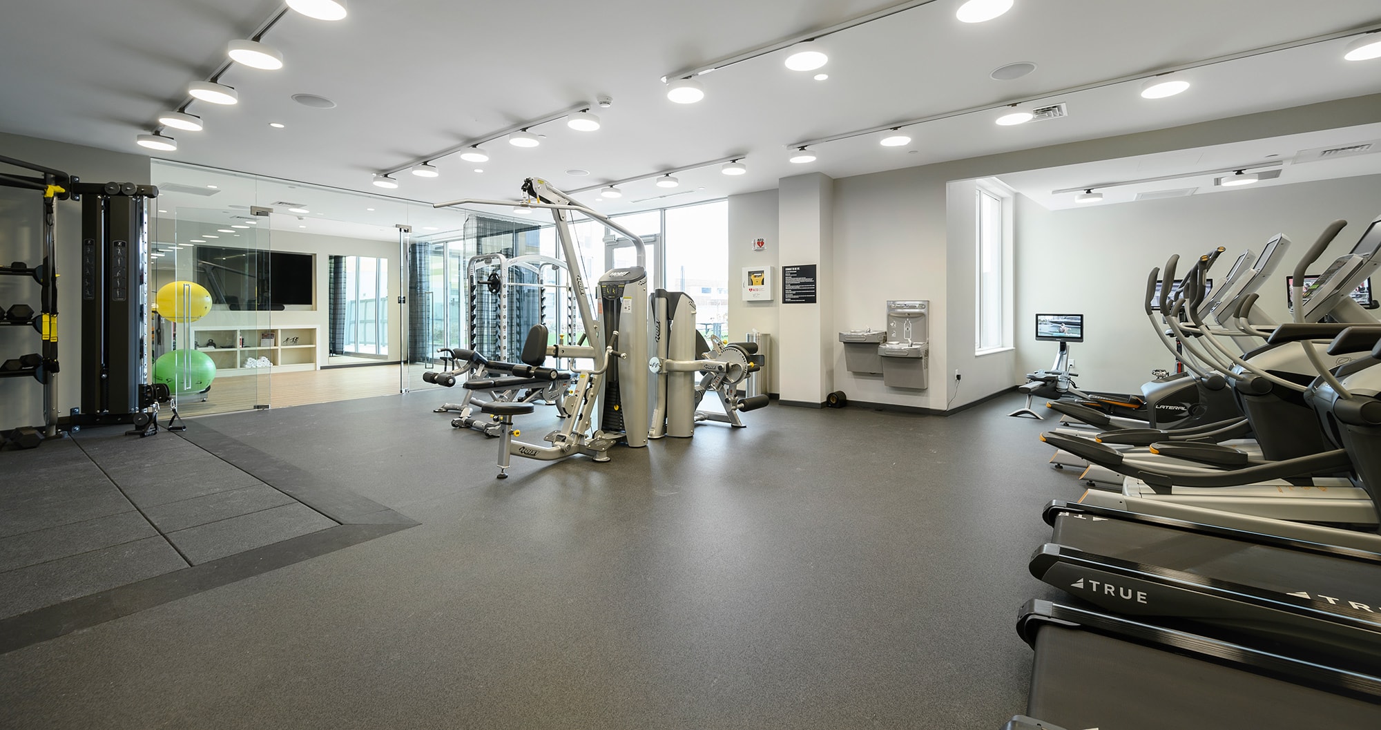 Spacious gym with free weights and treadmills