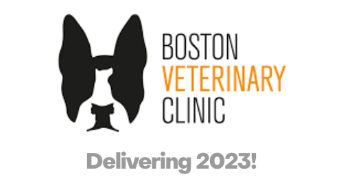 Boston Veterinary Clinic logo